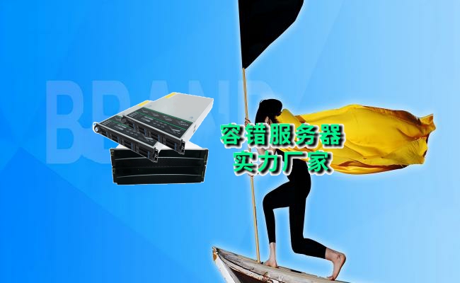 公司介绍